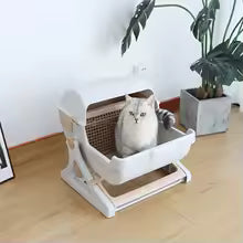Lettiera semiautomatica Grande lettiera automatica per gatti per tutte le stagioni Semi chiusa per animali domestici